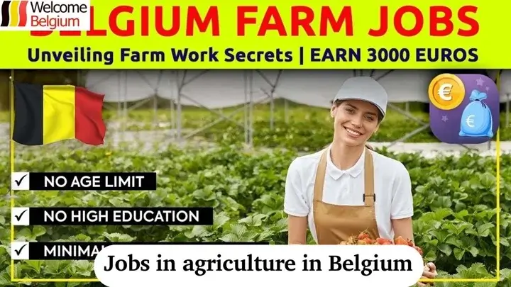 Emplois dans l'agriculture en Belgique