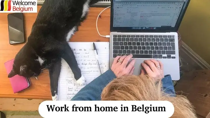 Work from home in Belgium