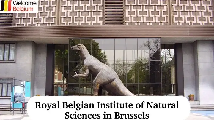 Royal Belgian Institute of Natural Sciences in Brussels