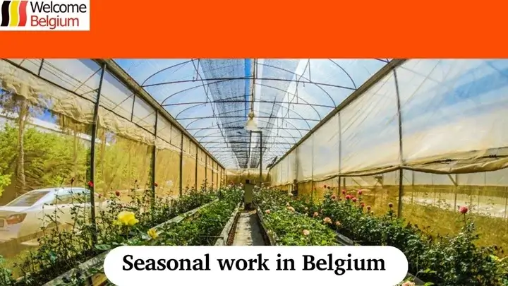 Seasonal work in Belgium