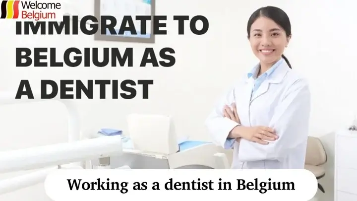 Travailler comme dentiste en Belgique