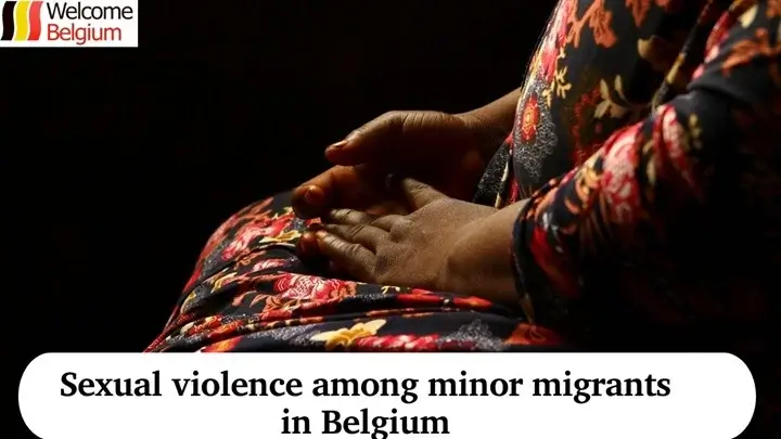 Сексуальное насилие среди несовершеннолетних мигрантов в Бельгии