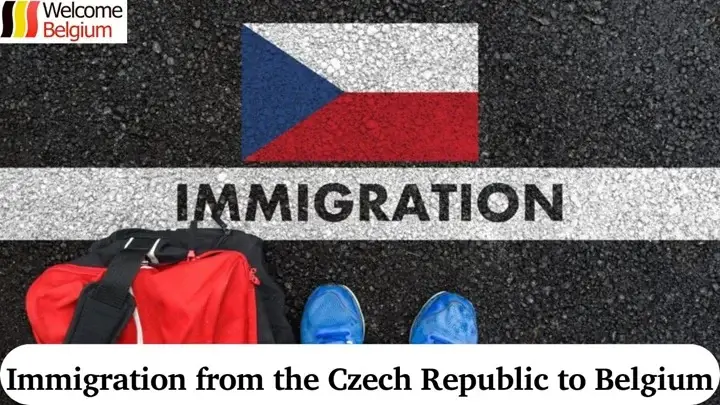 Immigration from the Czech Republic to Belgium