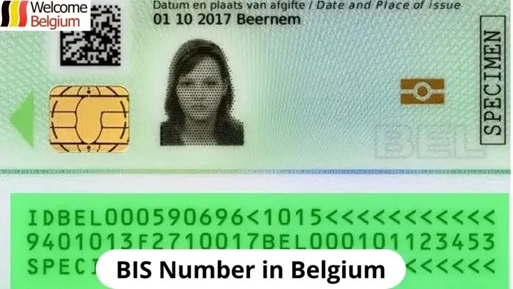 BIS Number in Belgium — structure, example, and how it differs from the regular ID