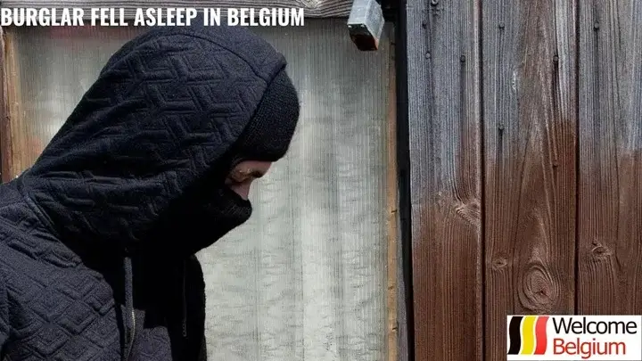 Thefts in Belgium