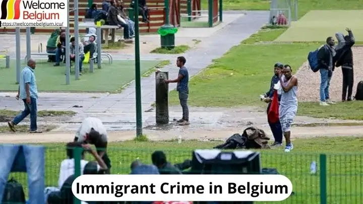 Immigrant Crime in Belgium