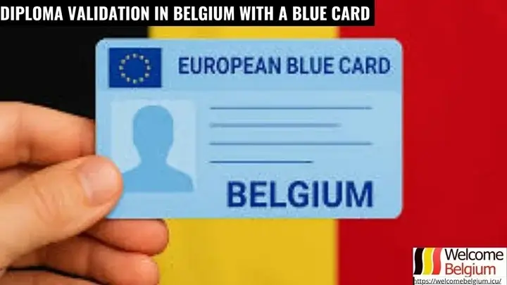 Diploma validation in Belgium with a Blue Card