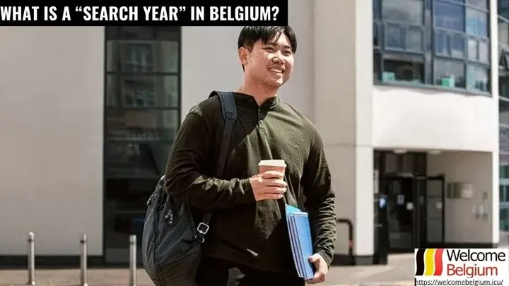 «search year» в Бельгии