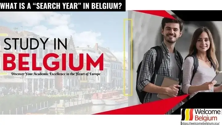 Особенности и нюансы «search year» в Бельгии