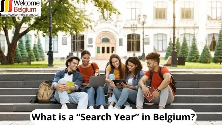 La « search year » en Belgique