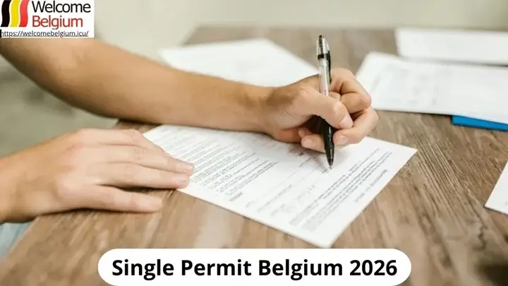 Single Permit Belgien 2026