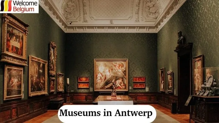 Best Museums in Antwerp