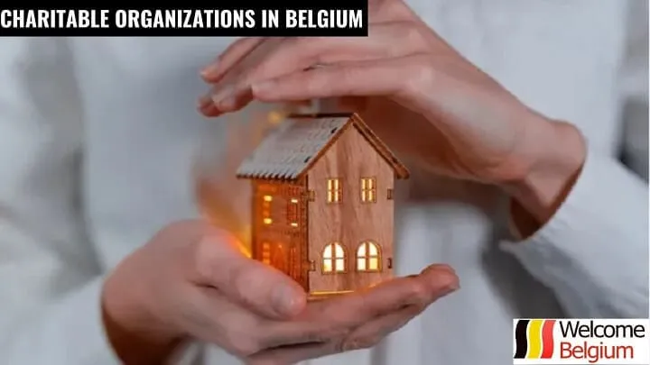 Organisation von L'Ilot in Belgien