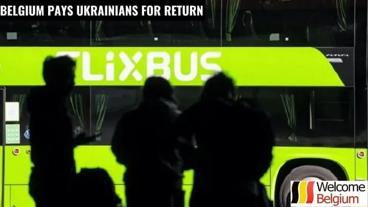 Автобусы для беженцев из Бельгии в Украину