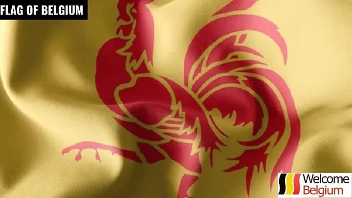 Flag of Wallonia